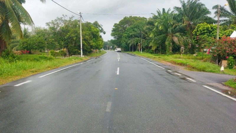 摩哆轉彎遭轎車撞飛　華裔中年送院不治身亡