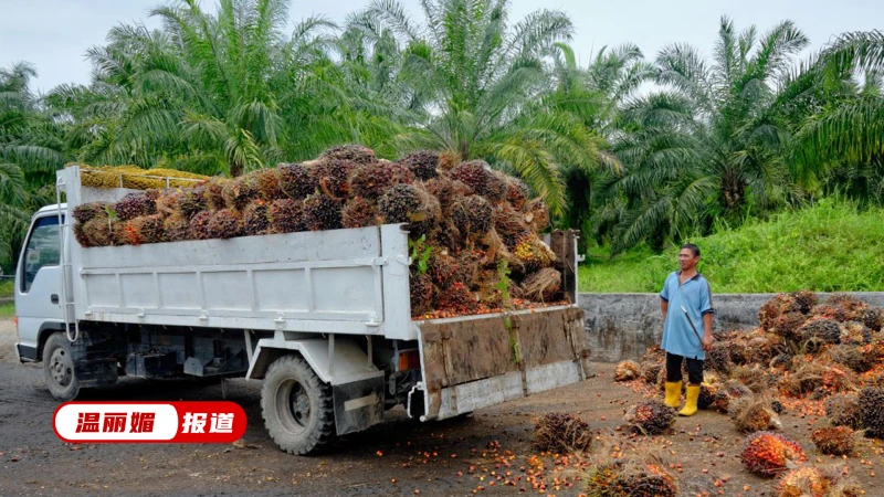 薪資雙倍都請不到人  大馬缺移工導致通貨膨脹