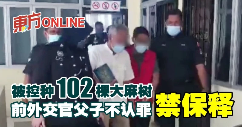 被控種102棵大麻樹　前外交官父子不認罪禁保釋