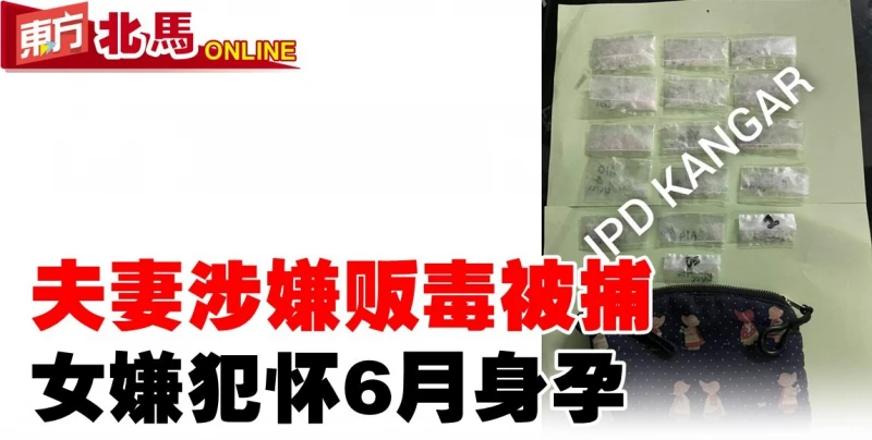 夫妻涉嫌販毒被捕　女嫌犯懷6月身孕