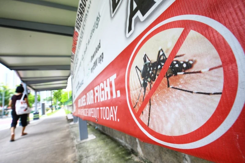 抗疫之餘還得抗伊蚊　本地骨痛熱症病例上半年暴增今年料惡化