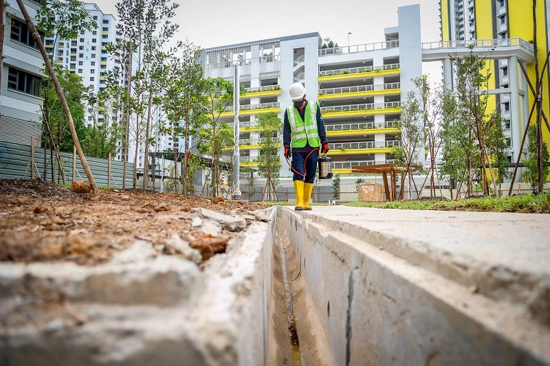 抗疫之餘還得抗伊蚊　本地骨痛熱症病例上半年暴增今年料惡化