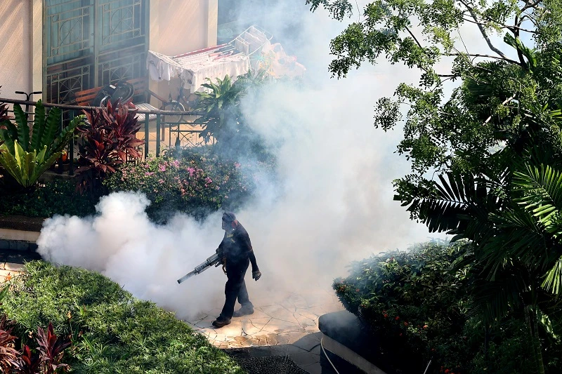 抗疫之餘還得抗伊蚊　本地骨痛熱症病例上半年暴增今年料惡化