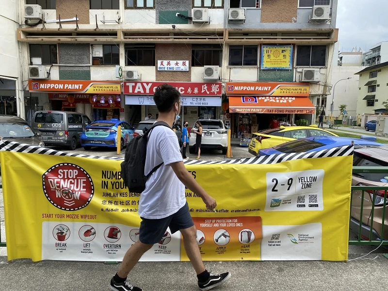 抗疫之餘還得抗伊蚊　本地骨痛熱症病例上半年暴增今年料惡化