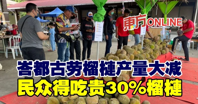 峇都古勞榴槤產量大減　民眾得吃貴30%榴槤