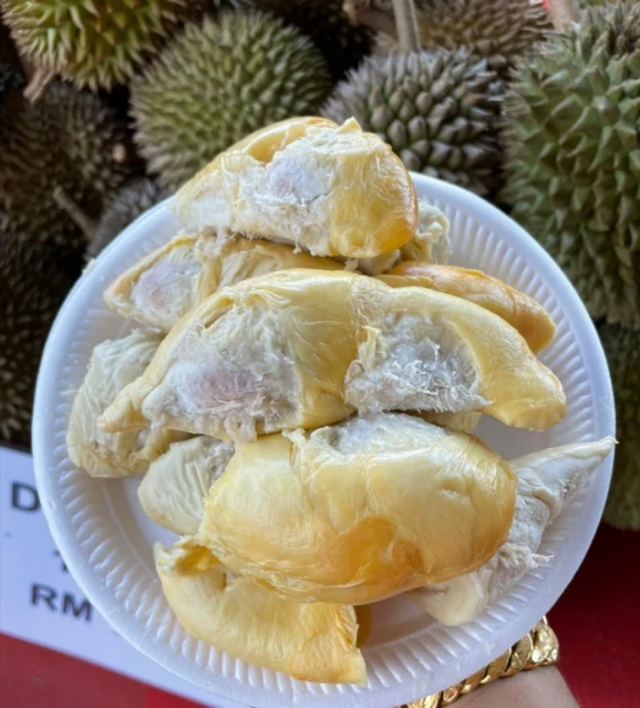 峇都古勞榴槤產量大減　民眾得吃貴30%榴槤