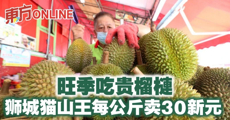 旺季吃貴榴槤　獅城貓山王每公斤賣30新元