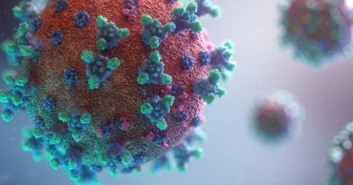 Omicron BA.5和BA.2.12.1 變異株殺到大馬