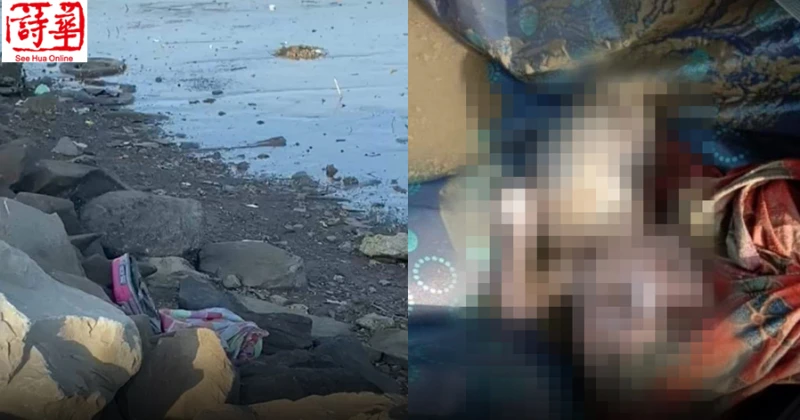 丹絨巴都木塘海邊 情侶發現女嬰屍裝行李箱