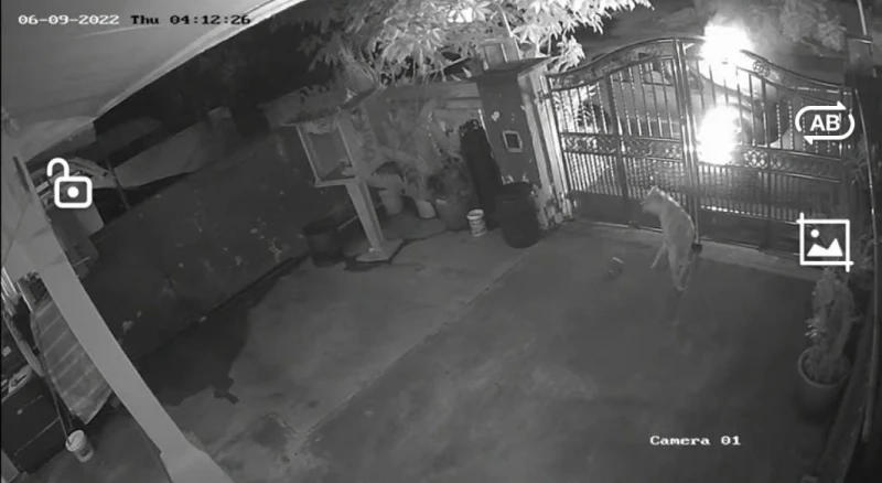 借貸詐騙縱火案猖狂　新山古來一天至少5宗