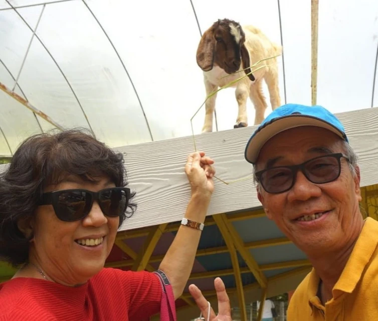 爸爸曬女兒認證「頭號粉絲」　溫慧茵不急婚跟爸媽「講道理」