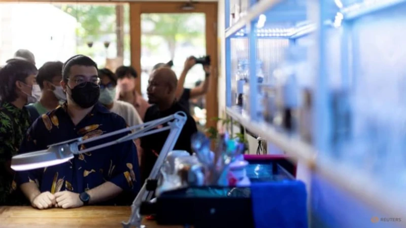 泰國允民眾在家種大麻 餐館可賣含大麻食品