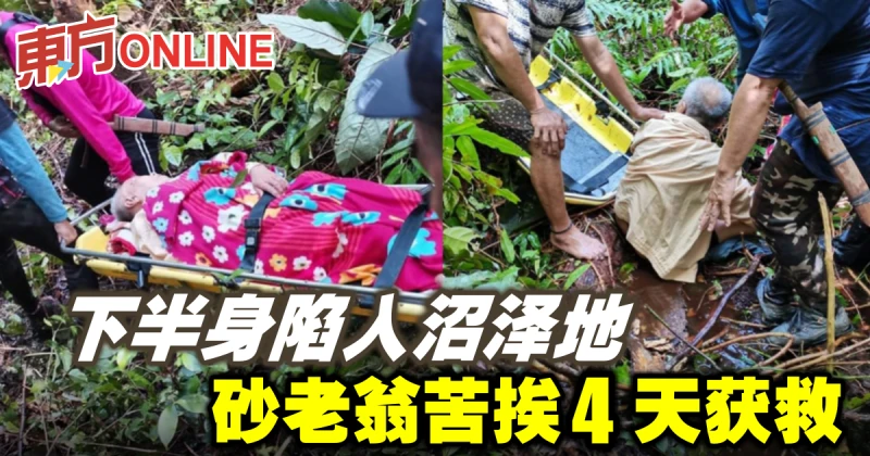 下半身陷入沼澤地　砂老翁苦挨4天獲救