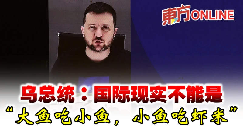 烏總統：國際現實不能是「大魚吃小魚，小魚吃蝦米」