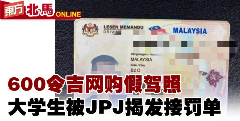 600令吉網購假駕照　大學生被JPJ揭發接罰單