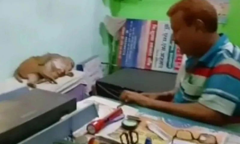 有靈性！母猴帶孩子到診所看醫生　全程不哭不鬧