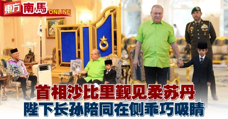 首相覲見柔蘇丹　陛下長孫陪同在側乖巧吸睛