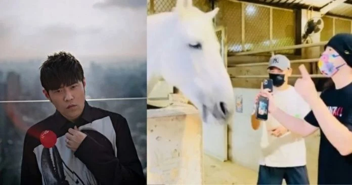 白馬聽《本草綱目》隨音樂擺動　周杰倫興奮：我有面子！