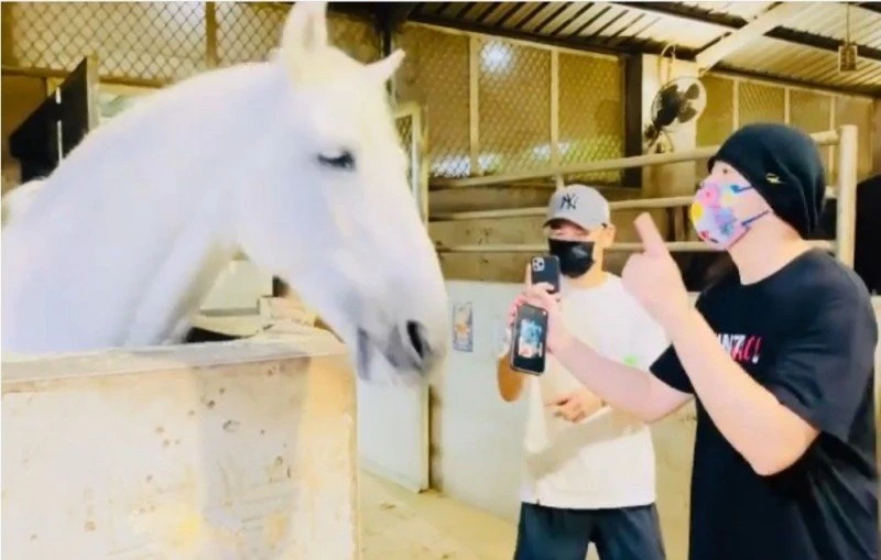 白馬聽《本草綱目》隨音樂擺動　周杰倫興奮：我有面子！