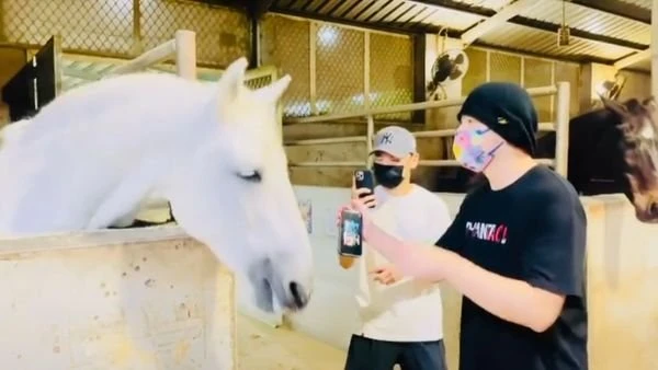 白馬聽《本草綱目》隨音樂擺動　周杰倫興奮：我有面子！