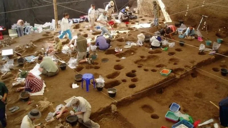 全世界最早養雞的地方 研究：在泰國呵叻府