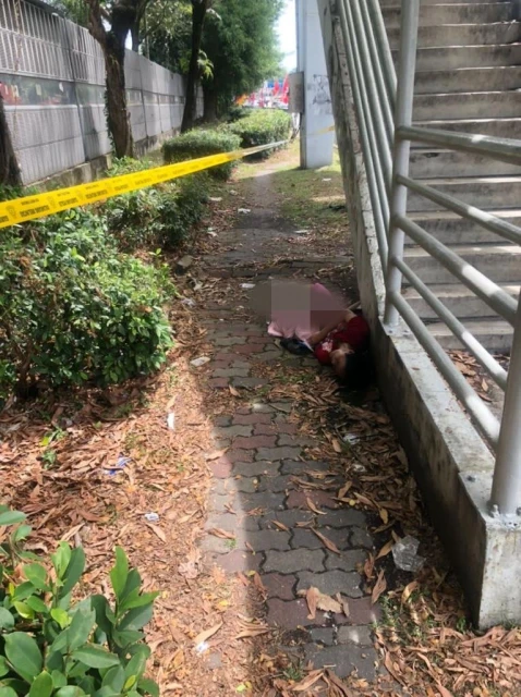 外籍女子斃命行人天橋旁　警援引猝死角度調查