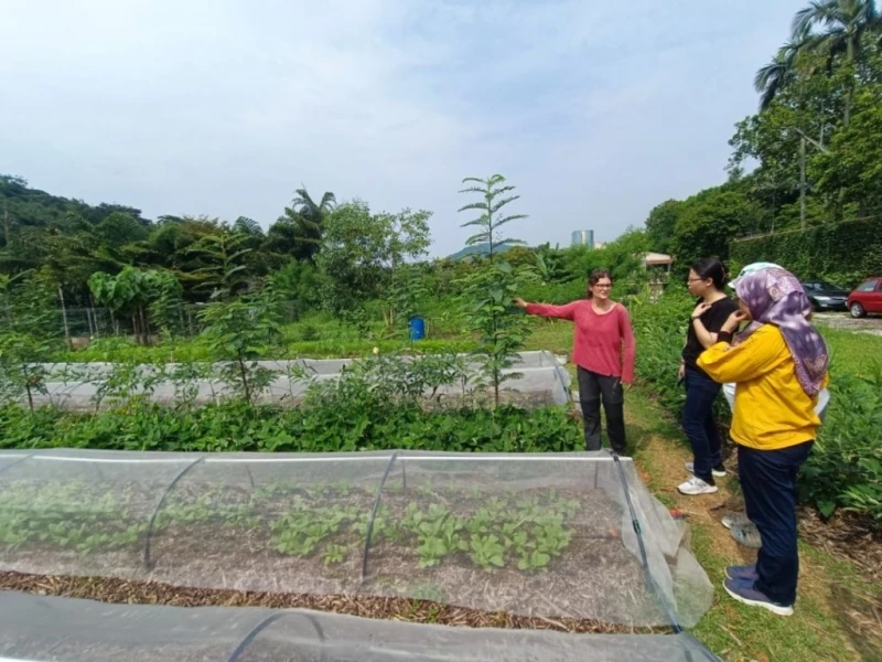 生活農藥環境  農村童中毒率成人4倍