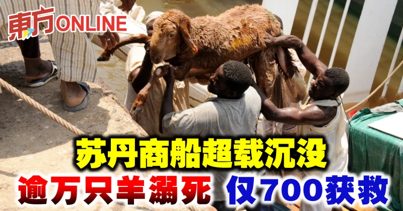 蘇丹商船超載沉沒　逾萬隻羊溺死僅700獲救