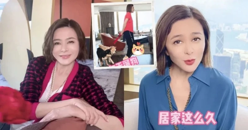 住豪宅拍片分享防疫日常 關之琳被吐槽「不接地氣」