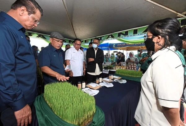 羅納建迪：毛律多項建設計劃 提升稻米產量自供自足