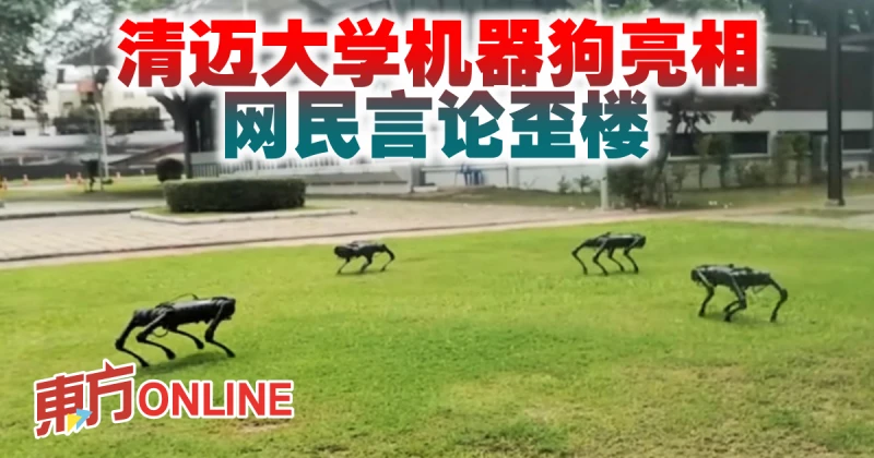 清邁大學機器狗亮相　網民言論歪樓