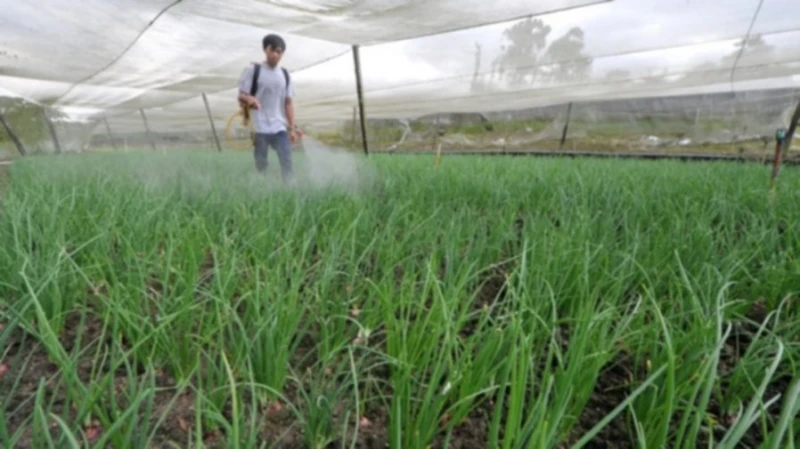 副財長:推動農業轉型帶來三大利好