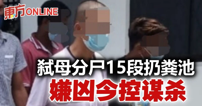 兒子弒母分屍15段扔糞池案　嫌兇今被控謀殺