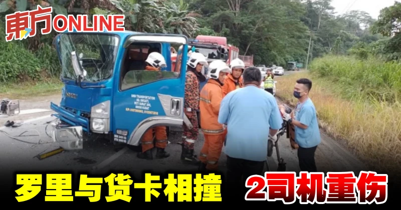 羅里與貨卡相撞　2司機重傷