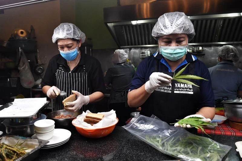 泰國大麻合法化後雞農用大麻喂雞　熟悉的美食會否「加料」？