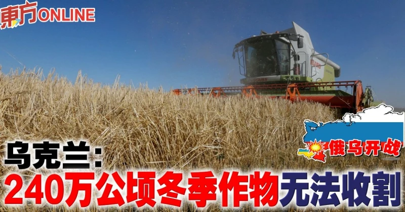 【俄烏開戰】烏克蘭：240萬公頃冬季作物無法收割