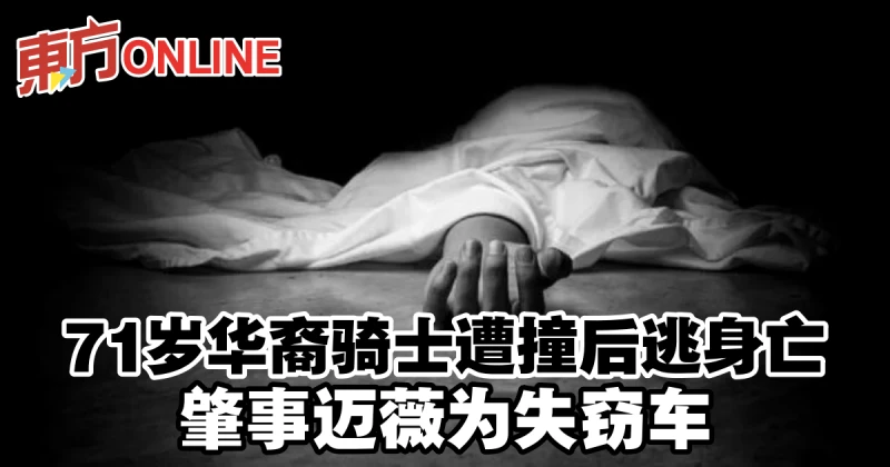 71歲華裔騎士遭撞後逃身亡　肇事邁薇為失竊車