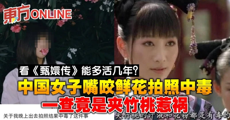 看《甄嬛傳》能多活幾年？中國女子嘴咬鮮花拍照中毒　一查竟是夾竹桃惹禍