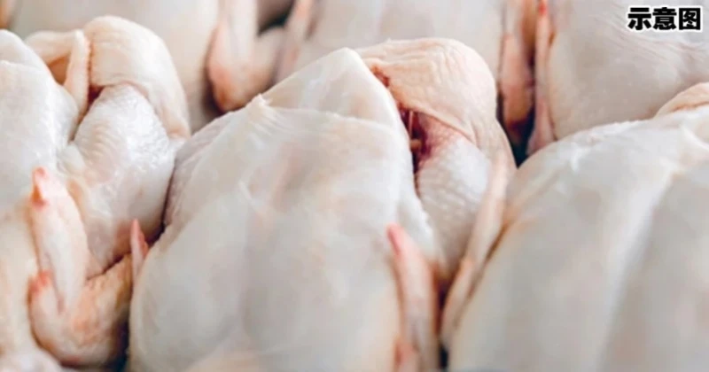 肉雞下月起恢復價格浮動　預料肉雞漲價