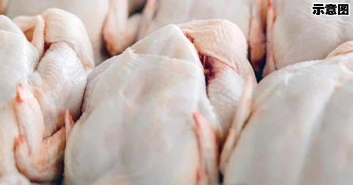 肉雞下月起恢復價格浮動　預料肉雞漲價
