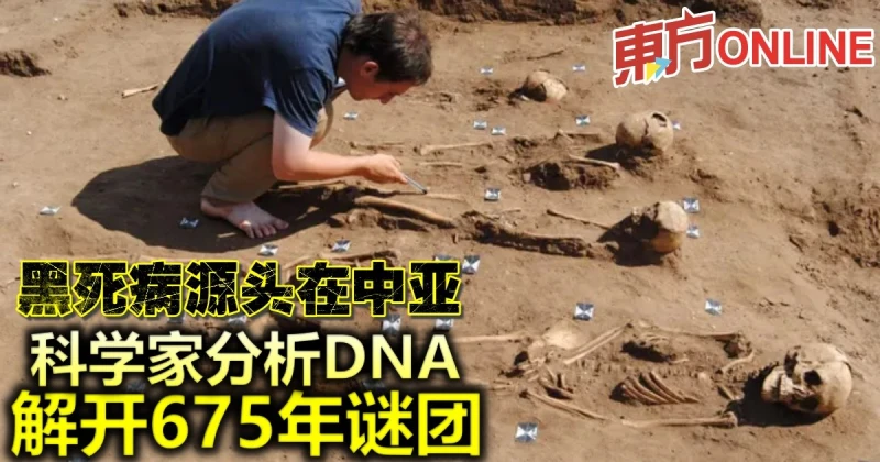黑死病源頭在中亞　科學家分析DNA解開675年謎團