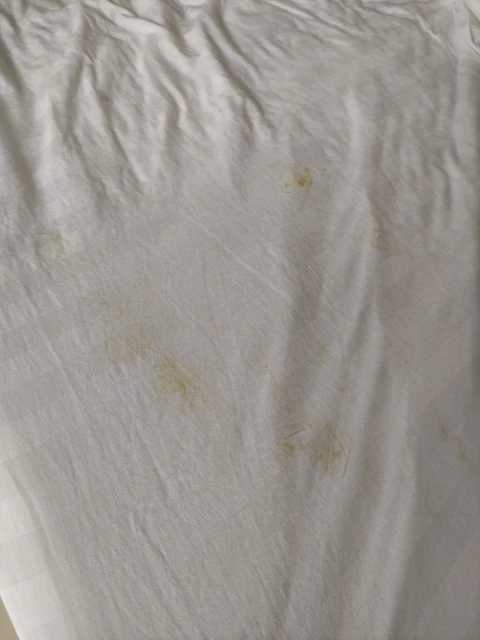 民宿慘變垃圾堆床也破洞 倒霉老闆嘆「遇到鬼」