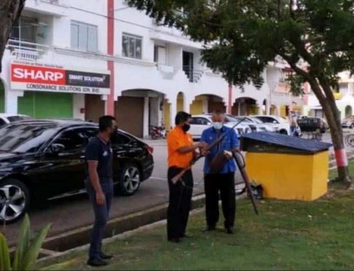 最快8月展跨單位射殺烏鴉行動　甲市長：冀減緩「鴉患」問題