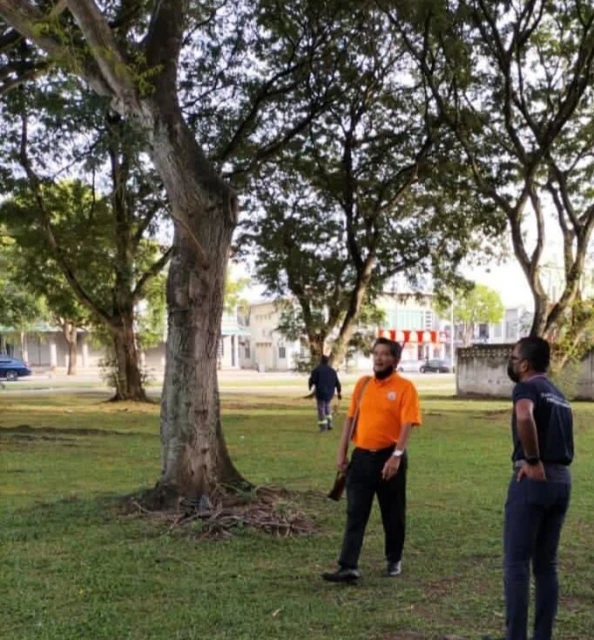 最快8月展跨單位射殺烏鴉行動　甲市長：冀減緩「鴉患」問題