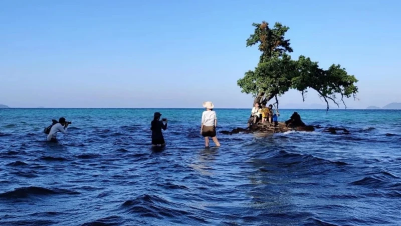 「汪洋孤樹」爆紅成打卡熱點 泰政府吁民節制勿損美景