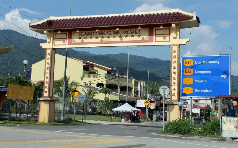 雷子健：武來岸覓李先念