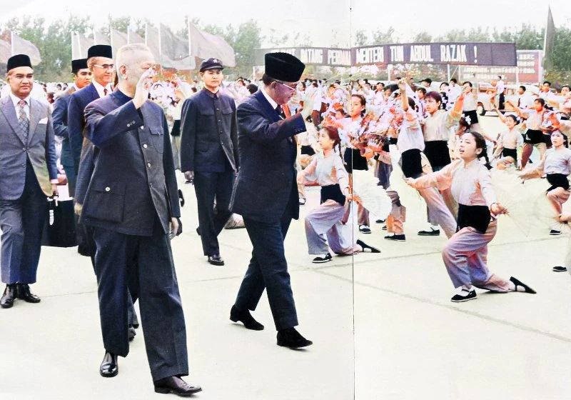 雷子健：武來岸覓李先念