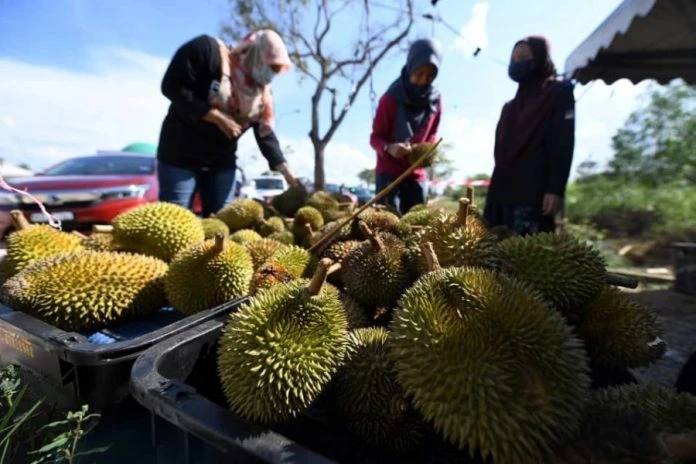 霹SIRIM將落實貓山王認證 避免無理售價