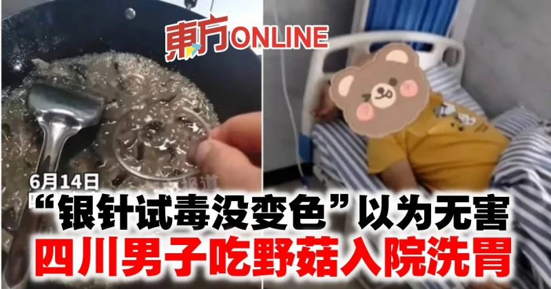 「銀針試毒沒變色」以為無害　四川男子吃野菇入院洗胃