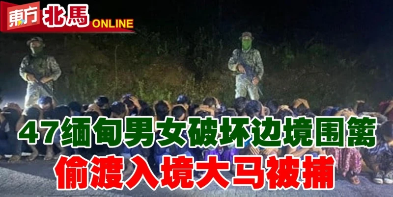 破壞邊境圍籬　47緬甸偷渡客被捕
